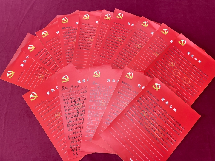 紅色“心”聲——公司本部黨支部開展“黨員心聲大家談”活動(dòng)