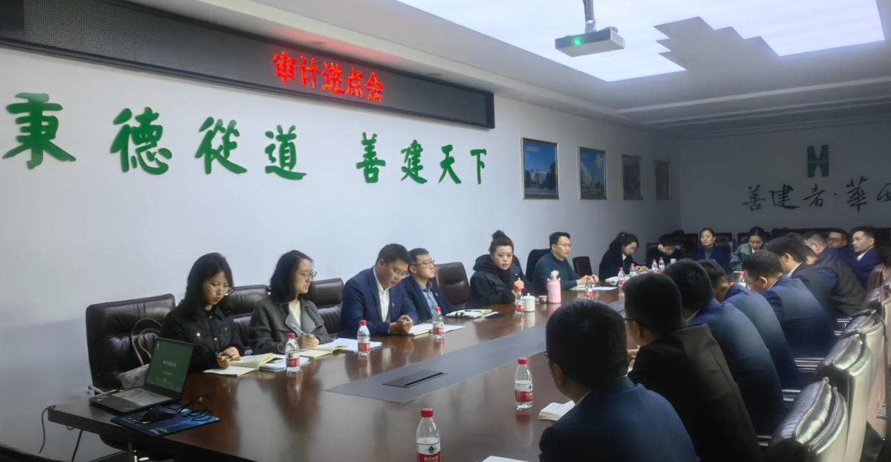 公司黨委委員、紀(jì)委書記付曉一行到綿陽青義項目督導(dǎo)復(fù)工復(fù)產(chǎn)工作